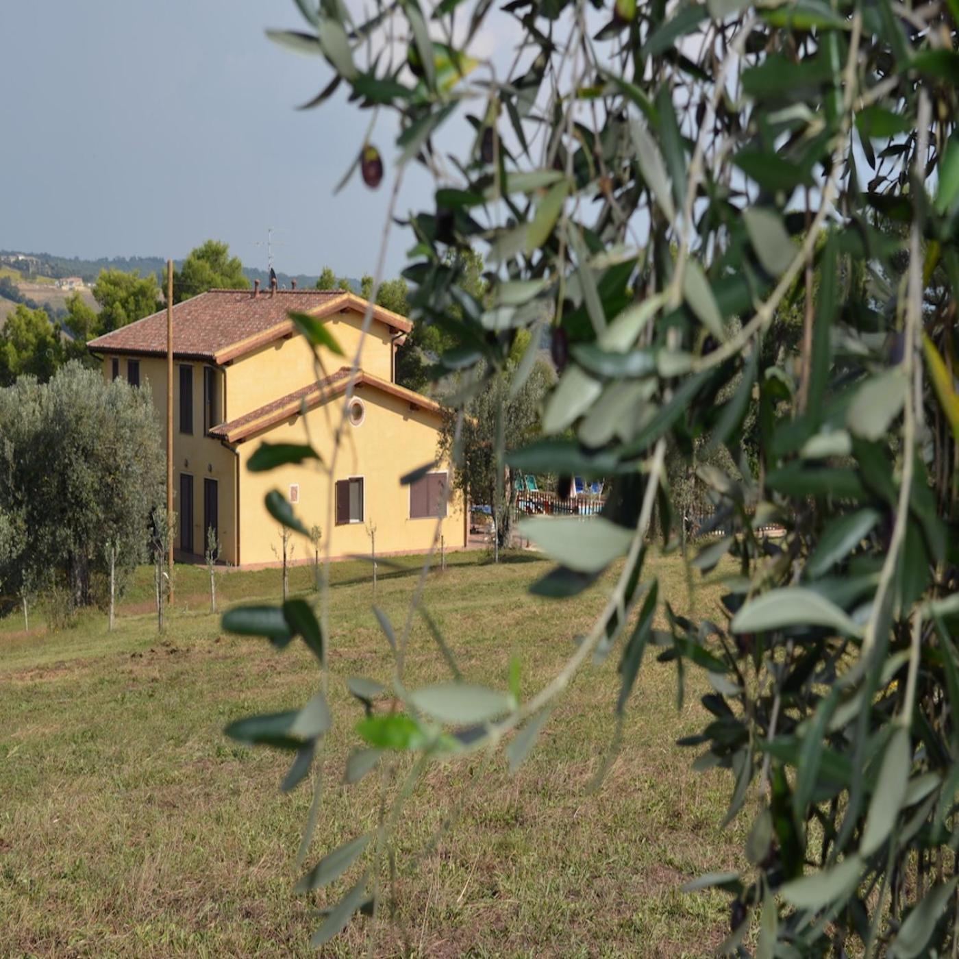 蒙蒂亚诺Agriturismo Fontelisa别墅 外观 照片