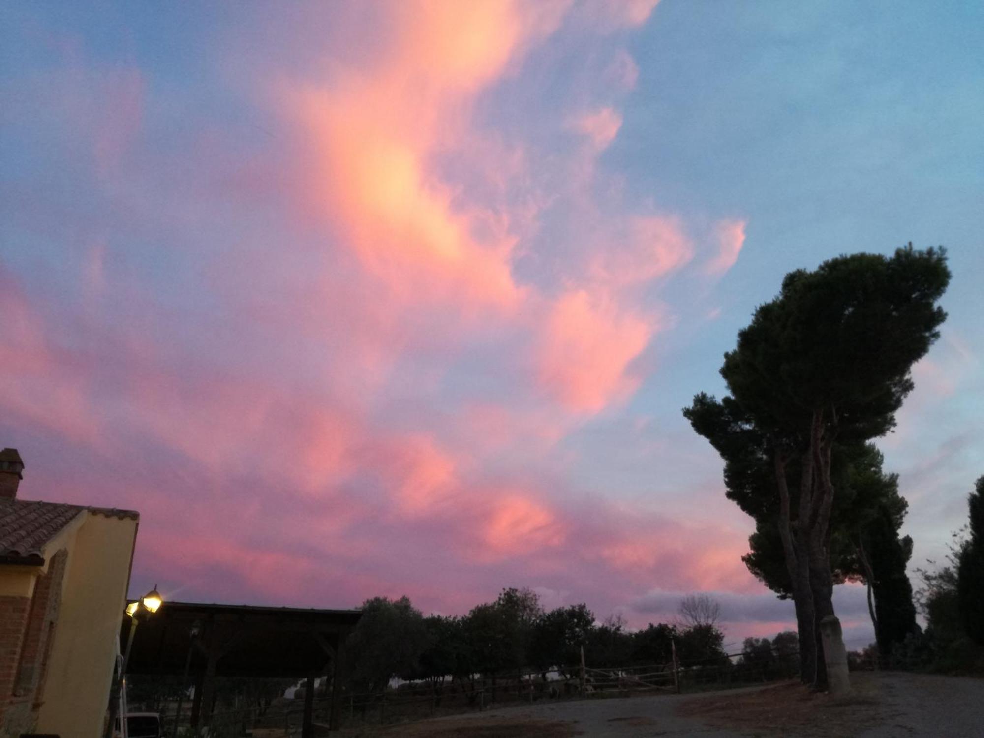 蒙蒂亚诺Agriturismo Fontelisa别墅 外观 照片